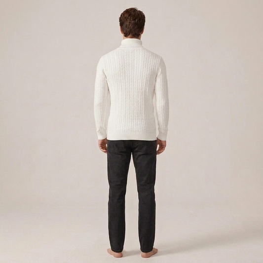 PLUXSTYLE::numise::mens-high-neck-sweater::back