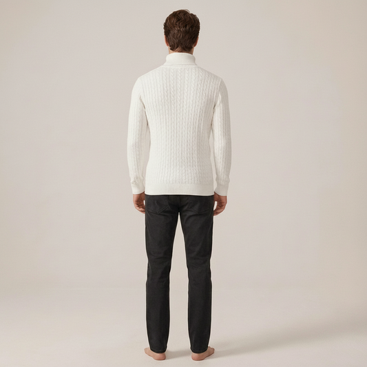 PLUXSTYLE::numise::mens-high-neck-sweater::back
