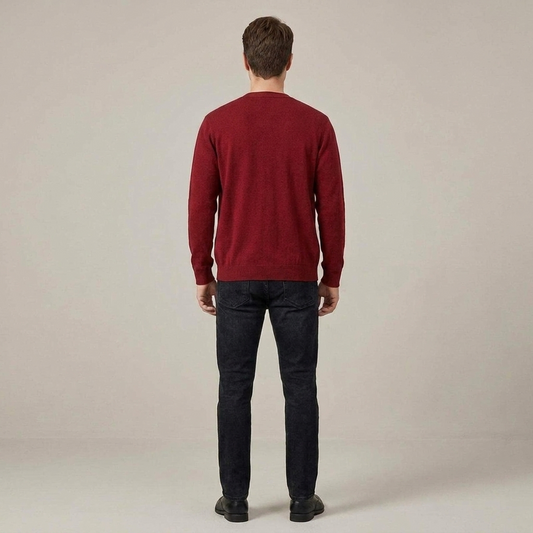 PLUXSTYLE::numise::mens-everyday-v-neck-cardigan::back