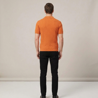 PLUXSTYLE::numise::mens-cable-texture-polo-top::back