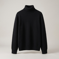 PLUXSTYLE::numise::adrien-straight-fit-turtleneck-sweater::pack-black