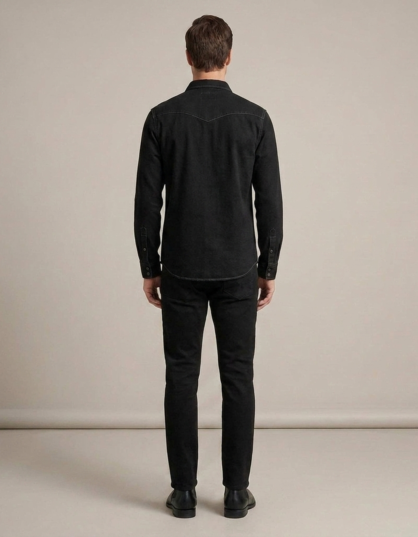 PLUXSTYLE::numise::mens-western-stitch-shirt::back