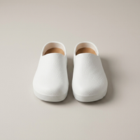 PLUXSTYLE::numise::mens-easy-care-work-clogs::pack-white