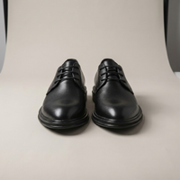 PLUXSTYLE::numise::mens-black-tie-derby-shoes::pack-matte-black