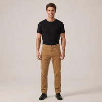 PLUXSTYLE::numise::mens-slim-straight-leg-pants::front