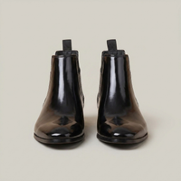 PLUXSTYLE::numise::mens-pointed-toe-chelsea-boots-3::pack-black