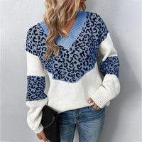 Leopard Print V-Neck Sweater