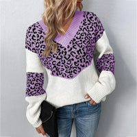 Leopard Print V-Neck Sweater