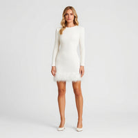 Daphne | Women's Sequin Feather Trim Mini Dress