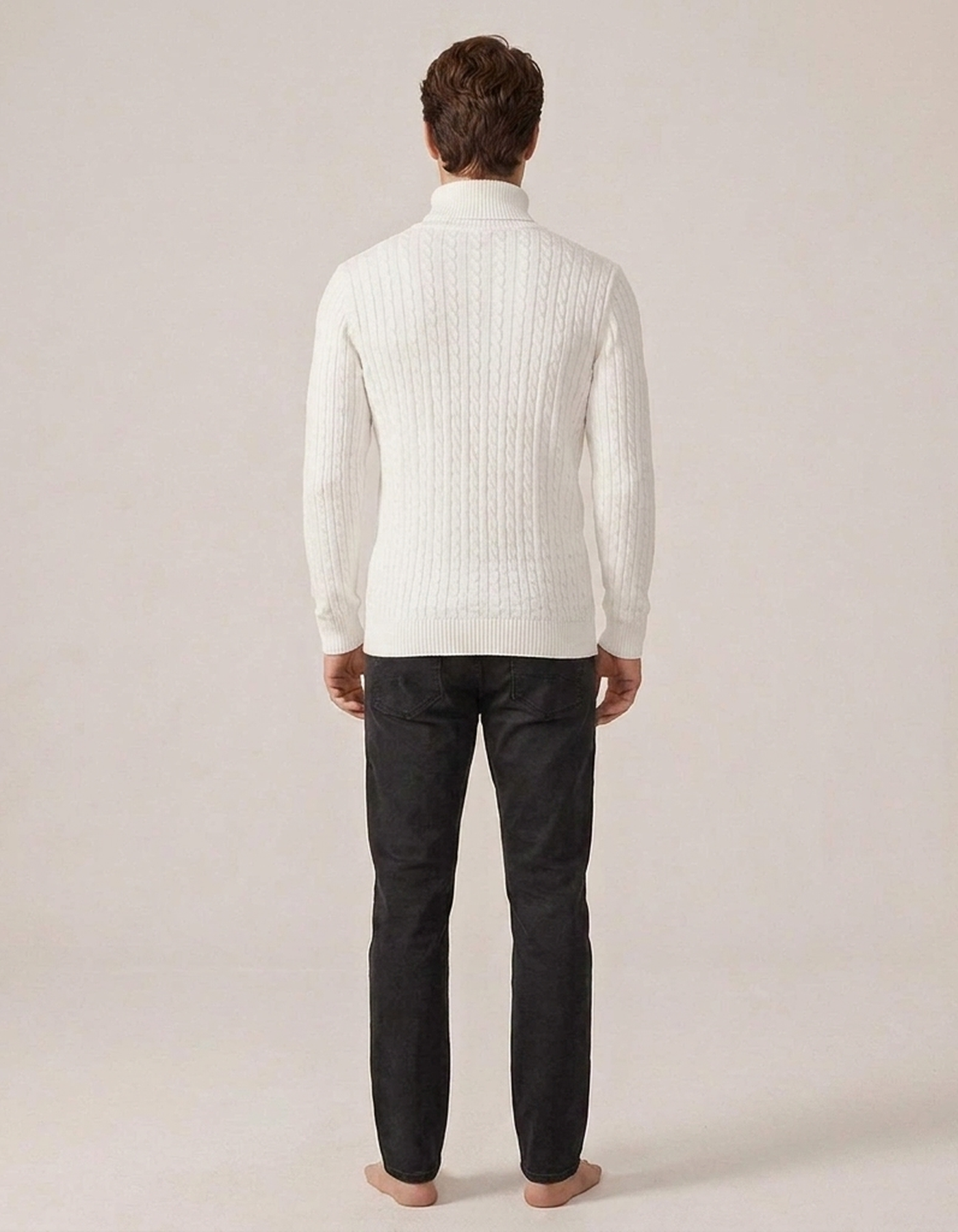 PLUXSTYLE::numise::mens-high-neck-sweater::back