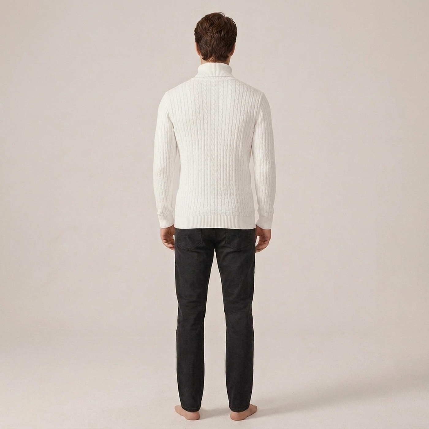 PLUXSTYLE::numise::mens-high-neck-sweater::back