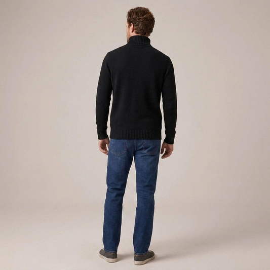 PLUXSTYLE::numise::adrien-straight-fit-turtleneck-sweater::back