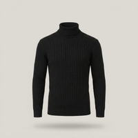 PLUXSTYLE::numise::mens-high-neck-sweater::pack-black