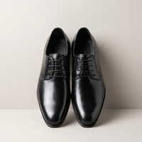 PLUXSTYLE::numise::mens-pointed-toe-derby-dress-shoes::pack-black