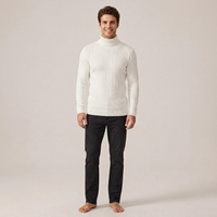 PLUXSTYLE::numise::mens-high-neck-sweater::front