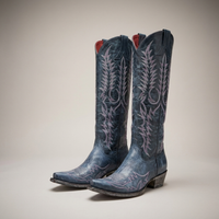 PLUXSTYLE::numise::embroidered-western-knee-high-boots::pack-blue