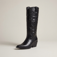PLUXSTYLE::numise::angelika-pointed-toe-western-boots::closeup-hero