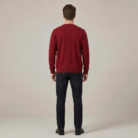 PLUXSTYLE::numise::mens-everyday-v-neck-cardigan::back