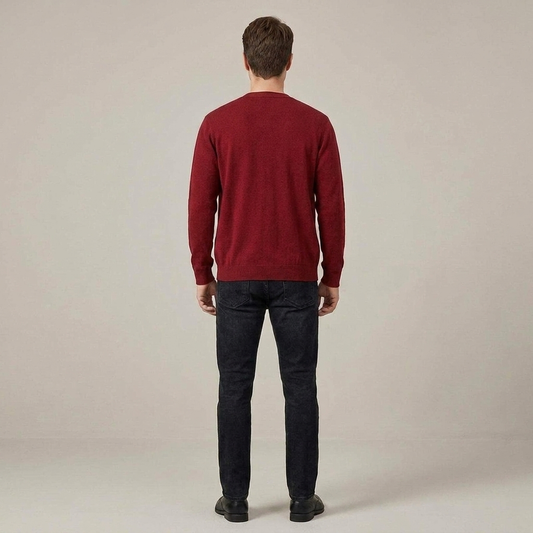 PLUXSTYLE::numise::mens-everyday-v-neck-cardigan::back