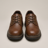 PLUXSTYLE::numise::mens-refined-oxford-shoes::pack-brown